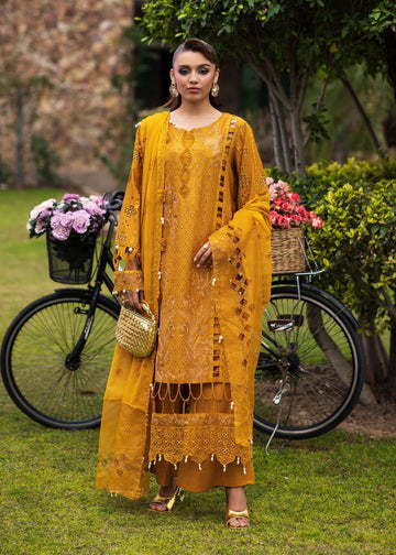 Paras by Pasha | Bloom and Beyond | Marigold Bloom