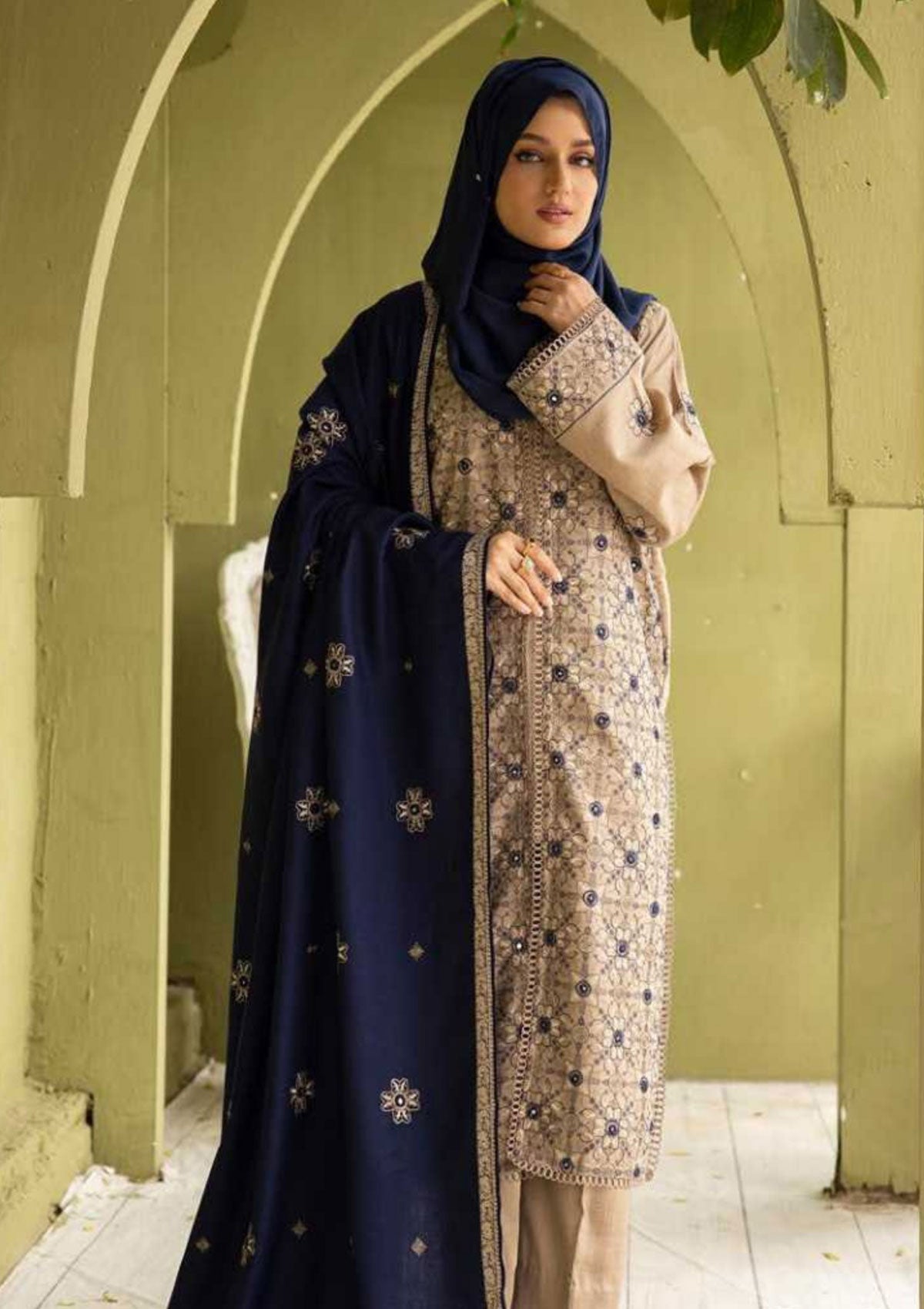 Winter Collection - Riaz Arts - DastKari - D#08