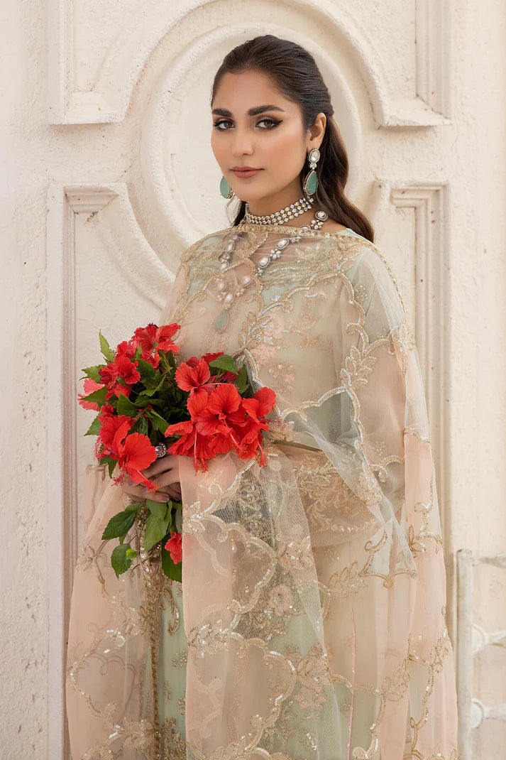 Festive Collection - Majestic Naqsh - Florence - D#59