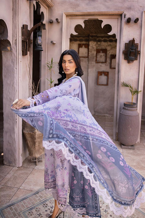 Winter Collection - Shaista - Saman - Karandi - D#437