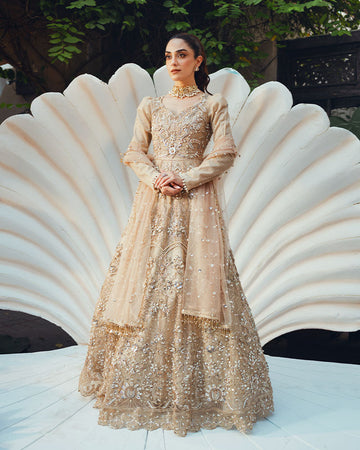 Ain | Naulakha Wedding Festive 24 | AR-144 SHELL