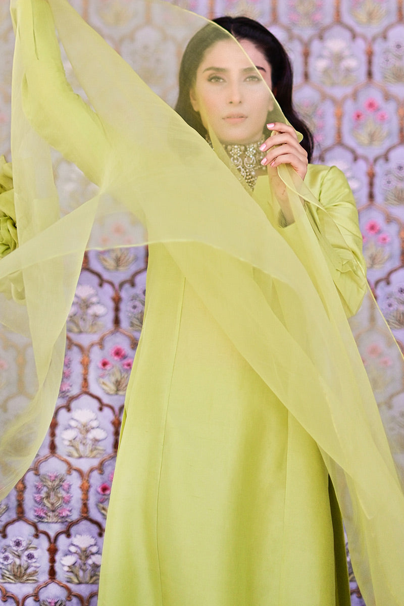 Ansab Jahangir | Luxury Silk Pret | RAY