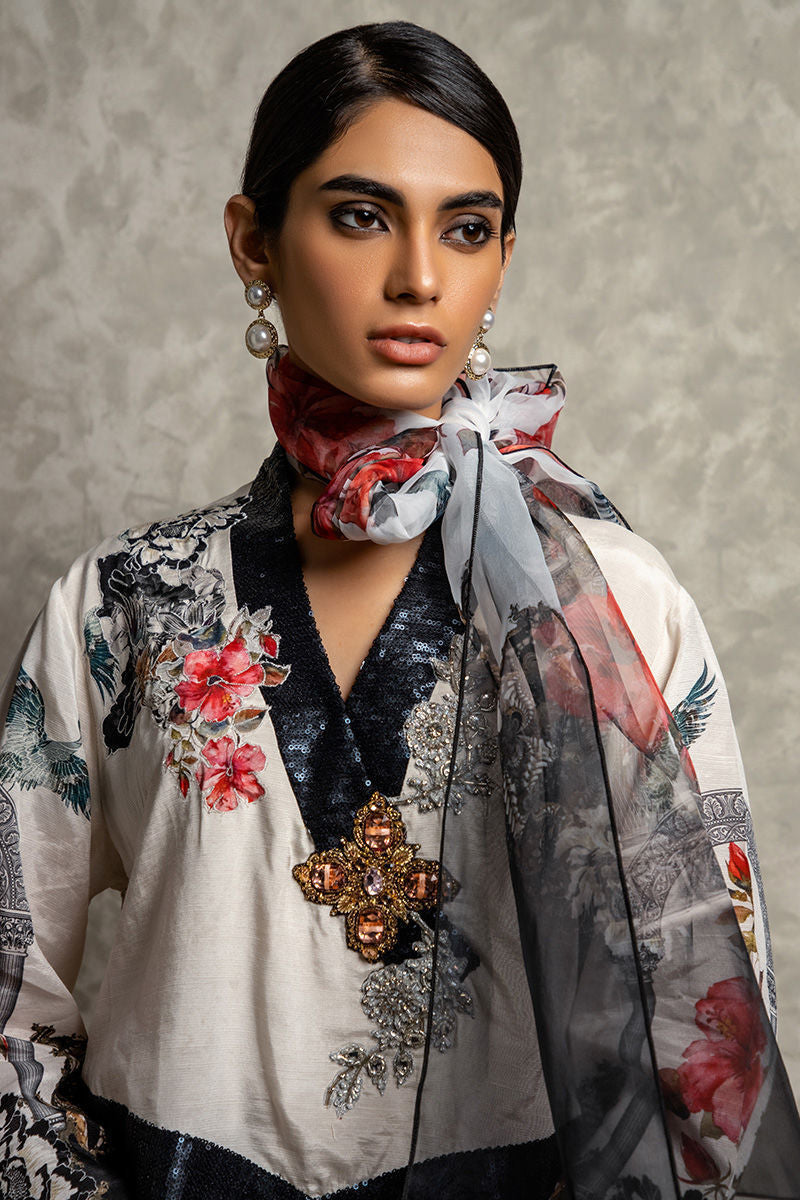 Shamaeel Ansari | Essentials 25 | AM-01