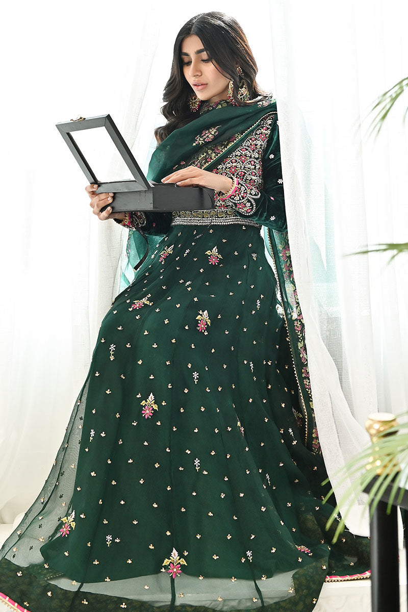 Ansab Jahangir | Bow Velvet Edit | FOREST - Official Ansab Jahangir - Agha Fabrics UK