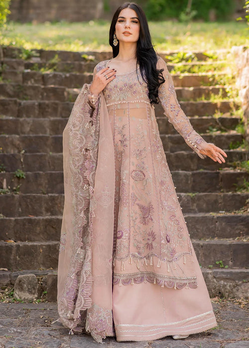 Meeral | Wedding Formals | Zaira - MS-23-D005