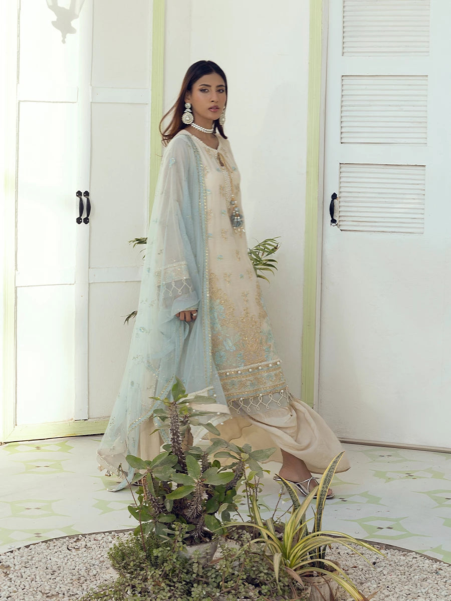 Salitex | Signature Festive Chiffon | SUNW6NO005UT