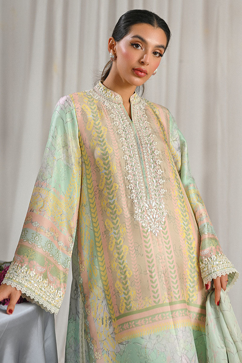 Ansab Jahangir | Cest Parti Luxe Pret 25 | Elayne