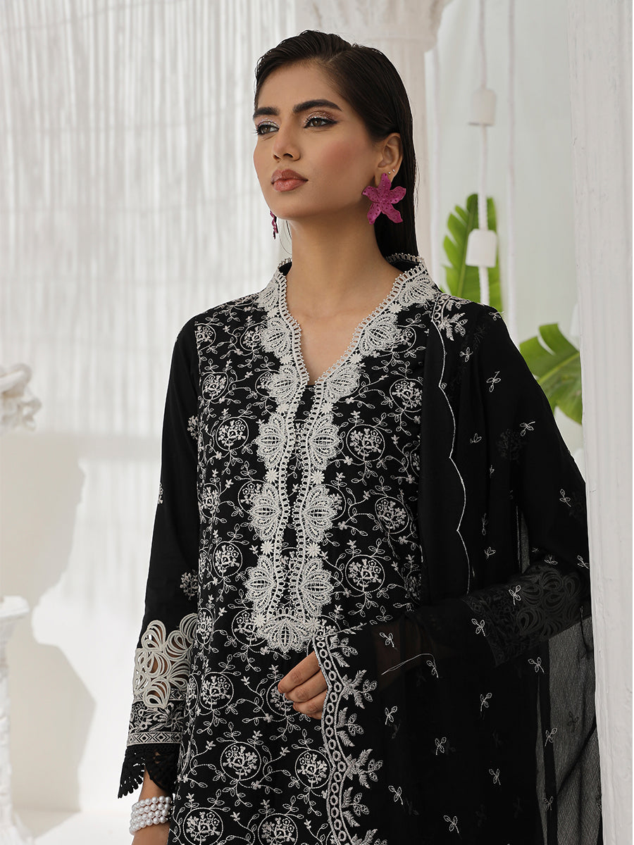 Salitex | Chikankari Collection | C02