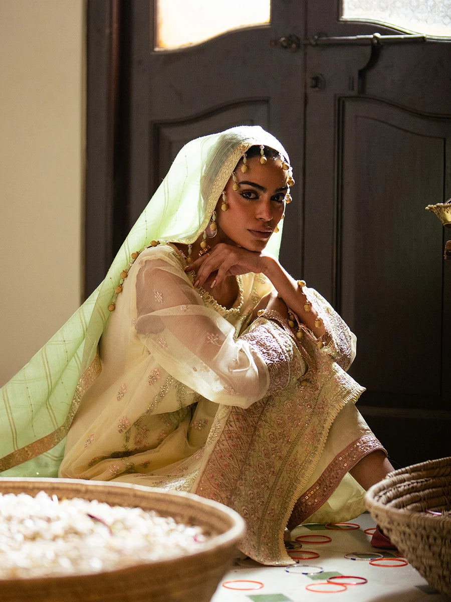 Salitex | Signature Festive Chiffon | SUNW6JI045UT