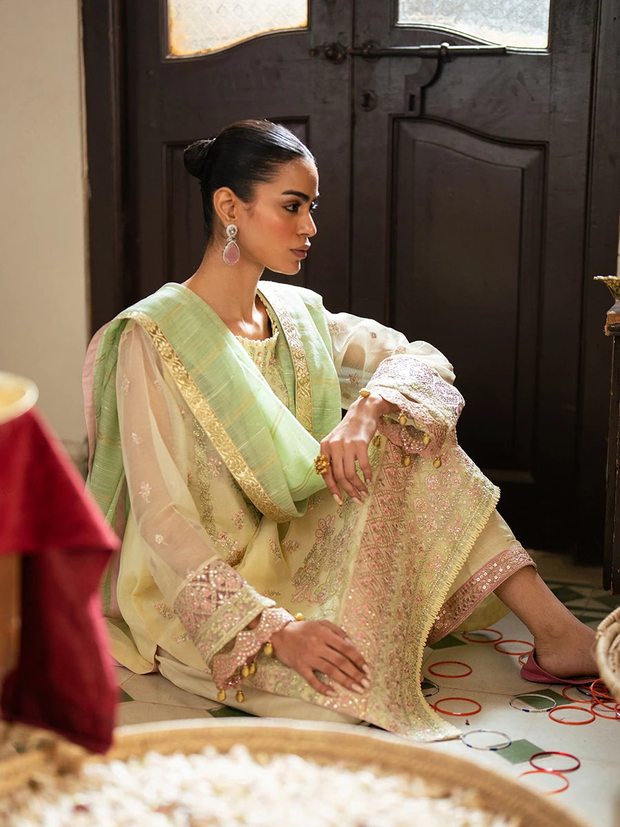 Salitex | Signature Festive Chiffon | SUNW6JI045UT