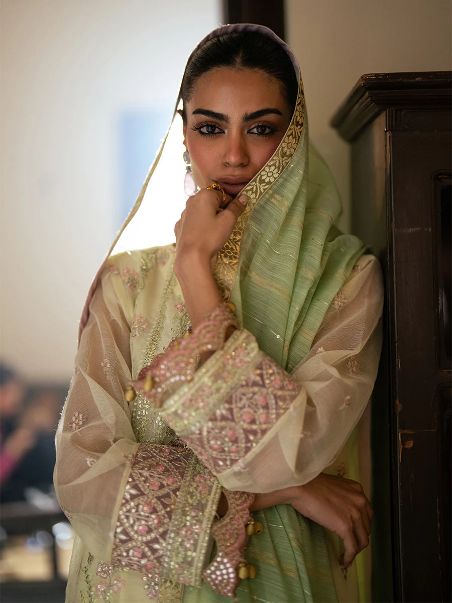 Salitex | Signature Festive Chiffon | SUNW6JI045UT