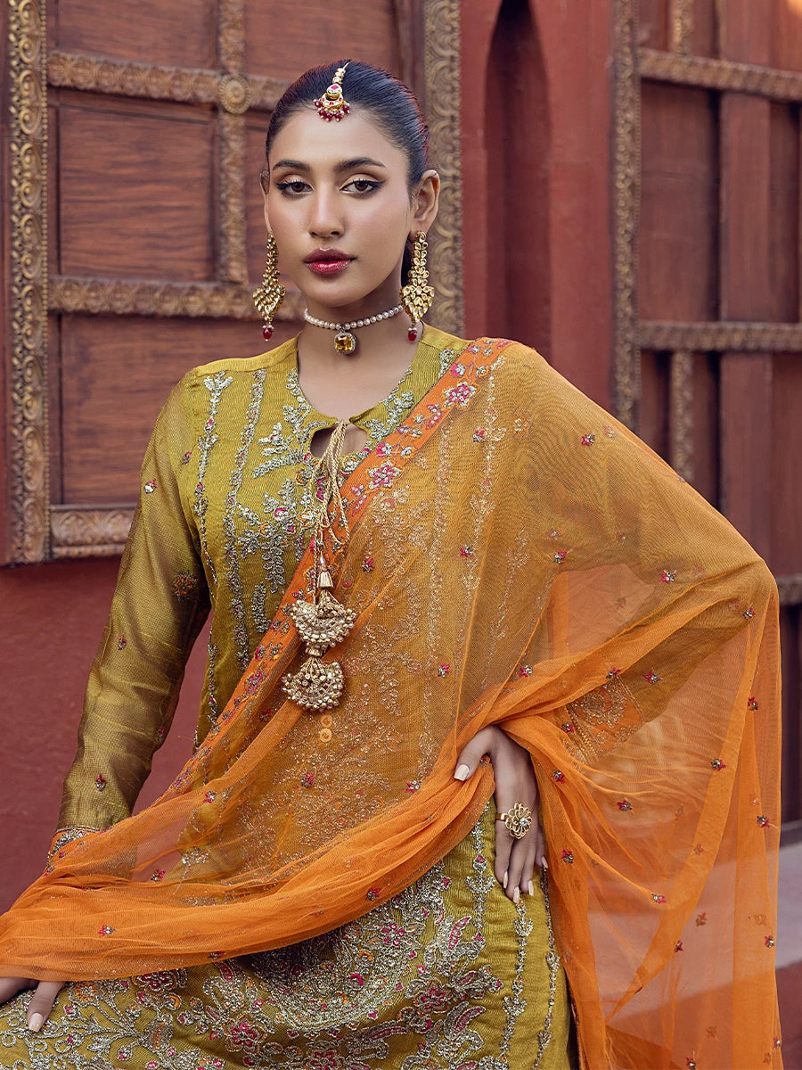 Salitex | Signature Festive Chiffon | SUNW6JI023UT