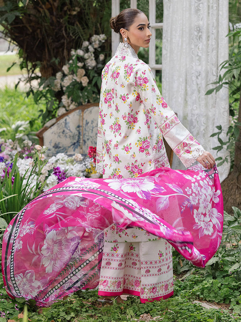 Rajbari | Schiffli Printkari Exclusive | Schiffli Printkari - 02 - Official Rajbari - Agha Fabrics UK