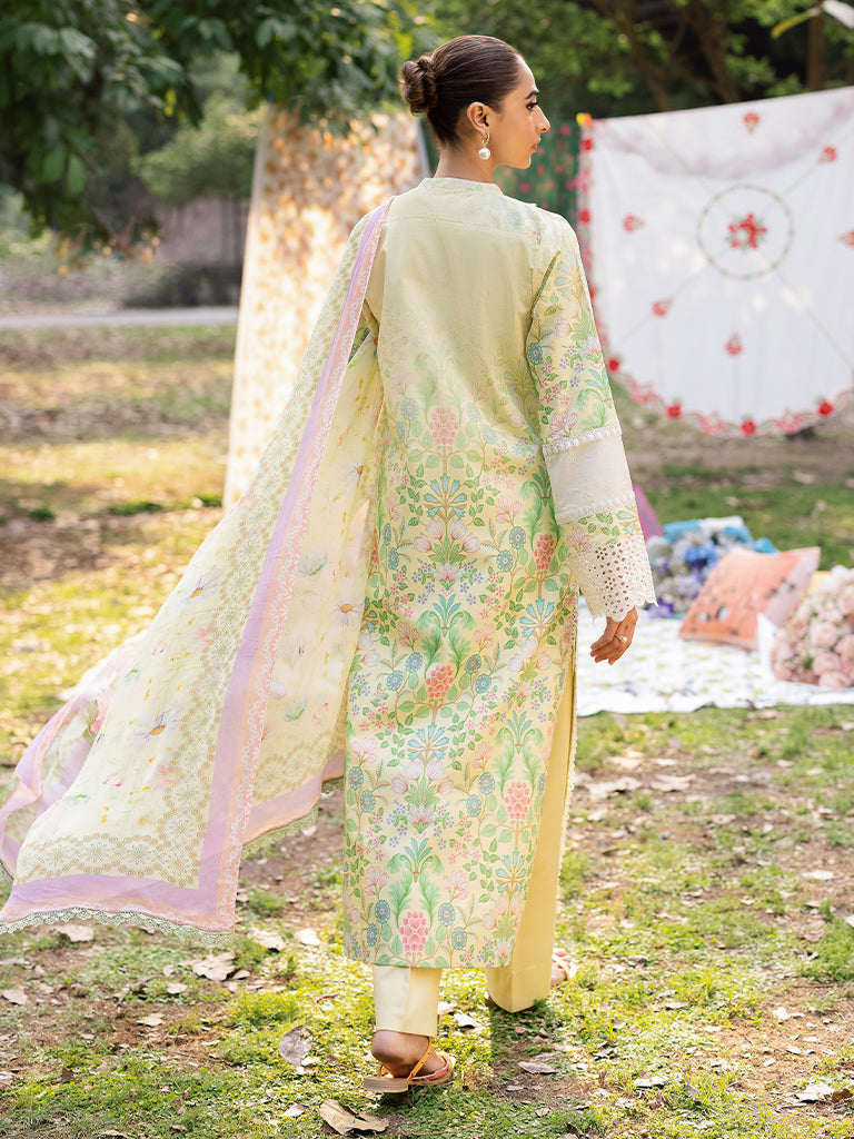 Rajbari | Schiffli Printkari Exclusive | Schiffli Printkari - 11 - Official Rajbari - Agha Fabrics UK