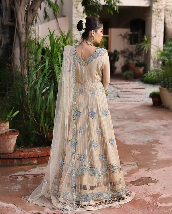 Roheenaz | Aangan Chiffon Collection 25 | Sehrish