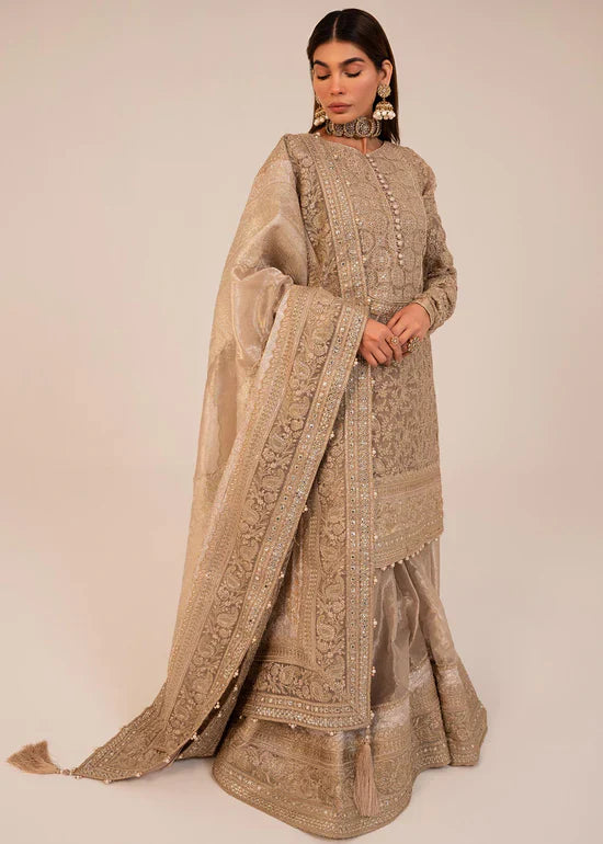 Jazmin | Wedding Formals | UC-3024 - Official HSY - Agha Fabrics UK