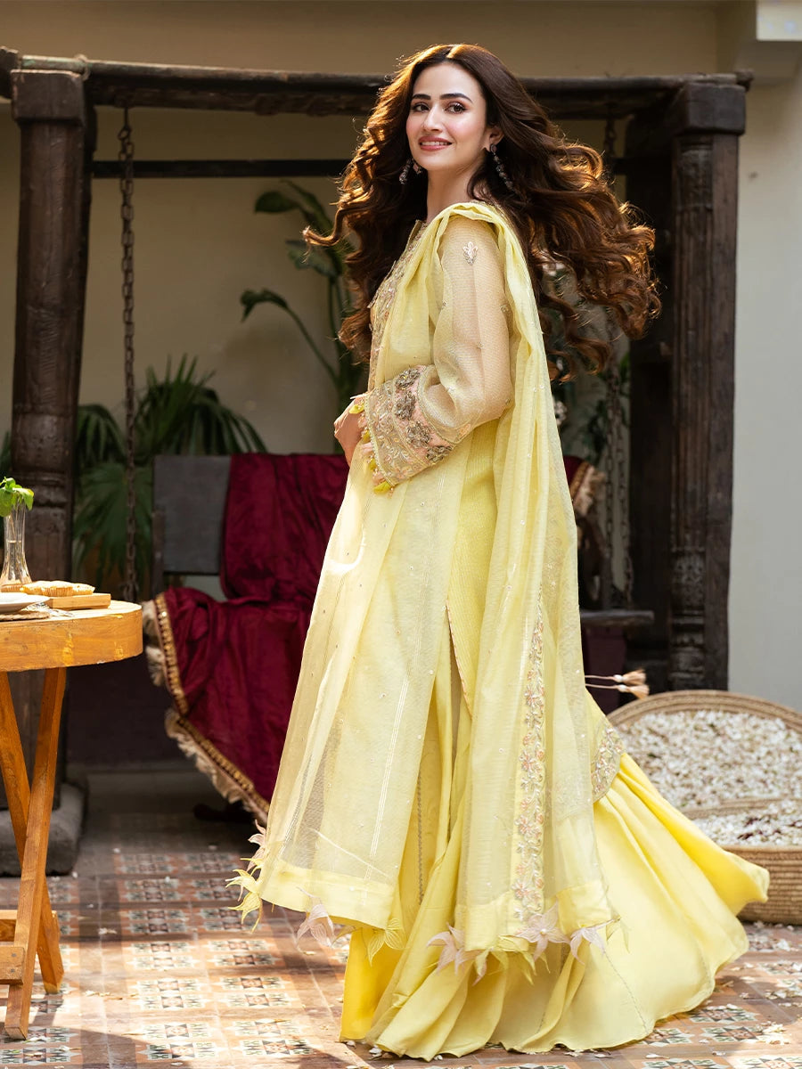 Salitex | Signature Festive Chiffon | SUNW6NO030UT