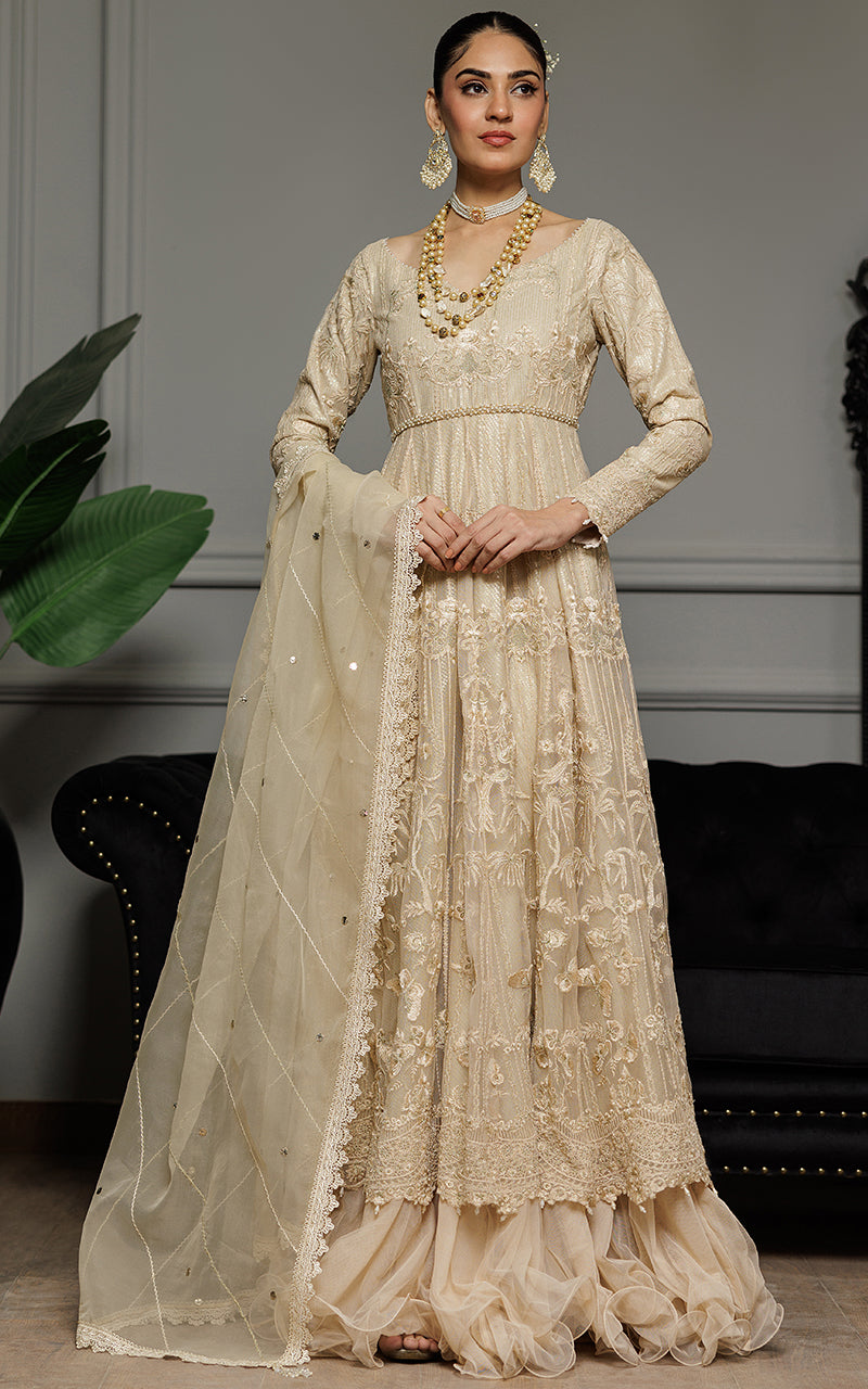 Threads and Motifs | Formal Dresses 25 | Net Embroidered Maxi