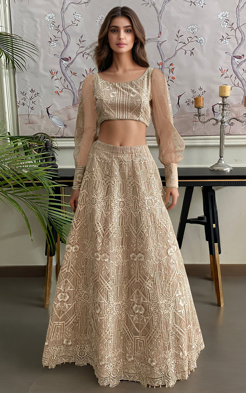 Threads and Motifs | Formal Dresses 25 | Organza Embroidered Blouse And Embroidered Lehenga