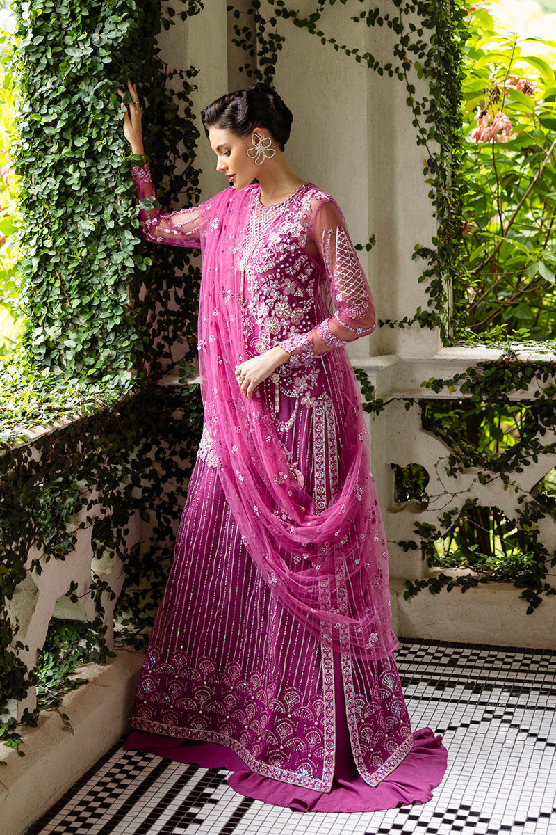 Mushq | Inception Hemline Wedding 25 | Sweet November - Official Mushq - Agha Fabrics UK