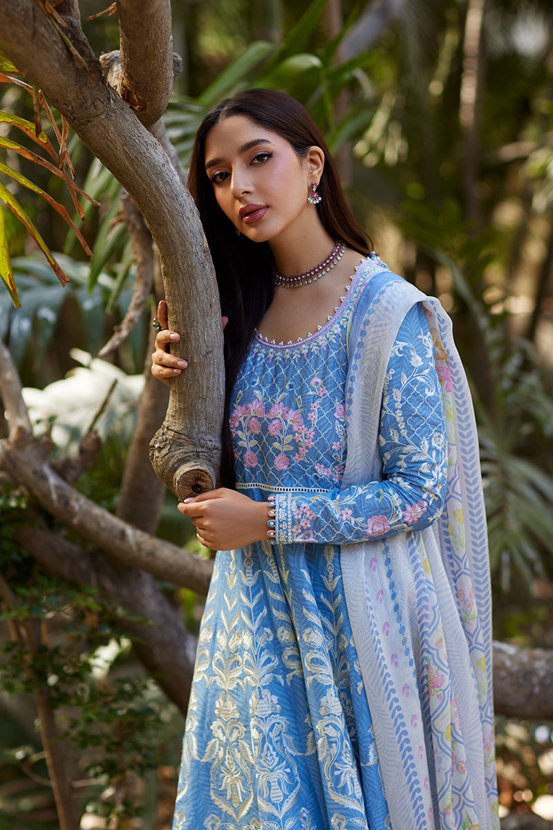 Mina Hassan | Chikankari Lawn 25 | Baano