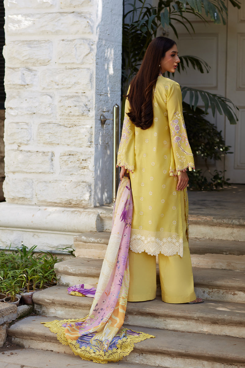 Mina Hassan | Chikankari Lawn 25 | Ayla