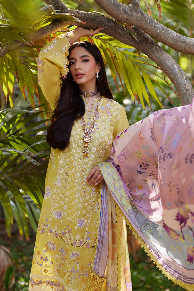 Mina Hassan | Chikankari Lawn 25 | Ayla