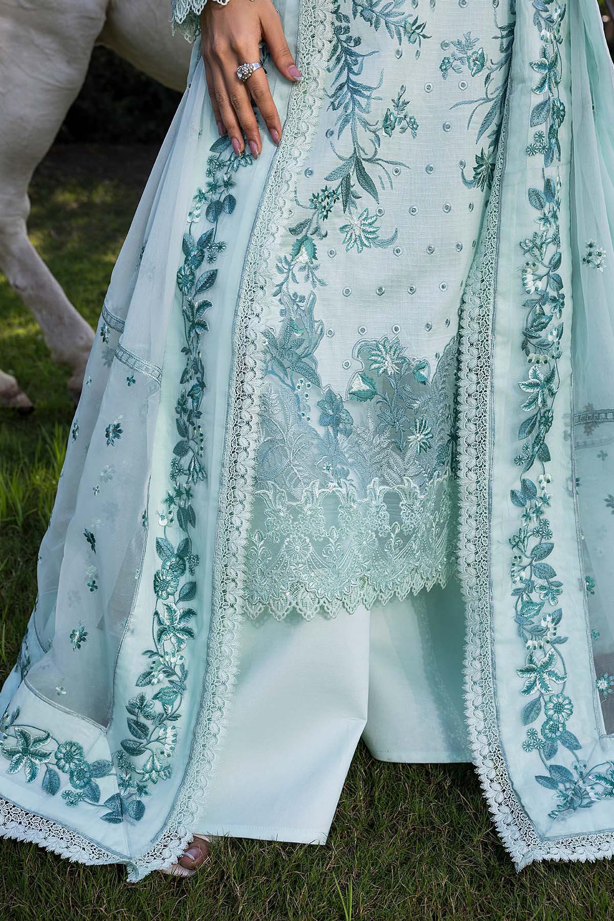 Raeesa Premium | Senorita Formals | SR-004