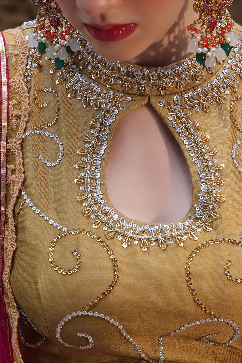 Mona Imran | Dilzaib Formals | Meena