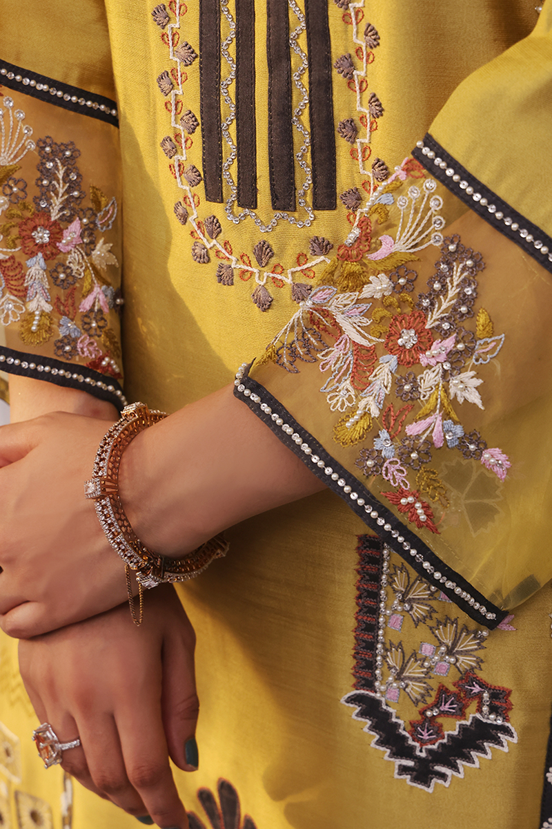 Mona Imran | Ayla Eid Edit | Zareen