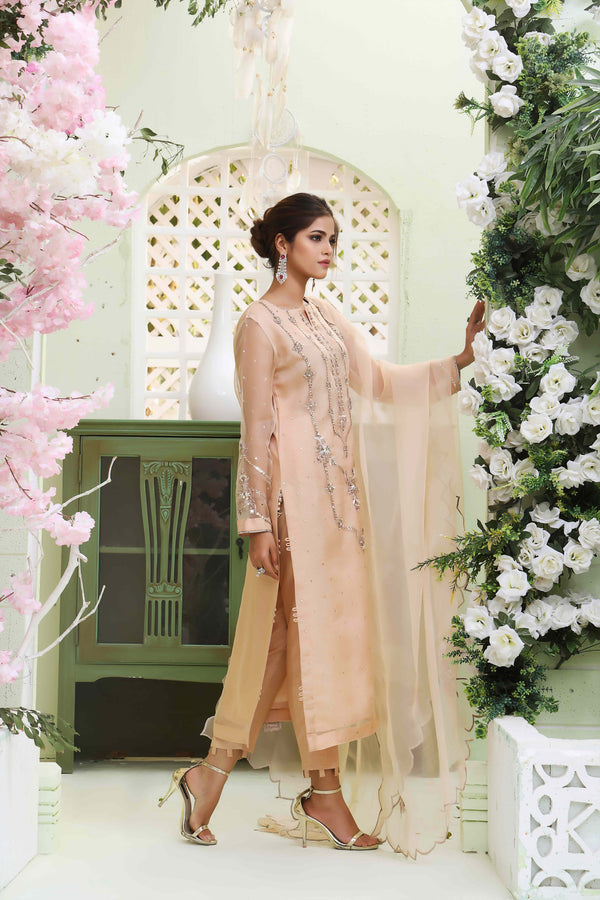 Wahajmkhan | Sitara Formals | NUDE PEACH ORGANZA OUTFIT