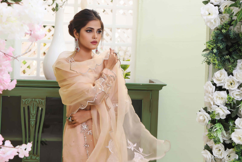 Wahajmkhan | Sitara Formals | NUDE PEACH ORGANZA OUTFIT