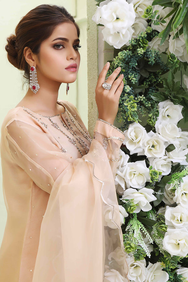 Wahajmkhan | Sitara Formals | NUDE PEACH ORGANZA OUTFIT