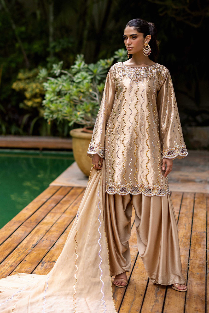 Sana Abbas | Wedding Formals | Mesaam - Official Sana Abbas - Agha Fabrics UK