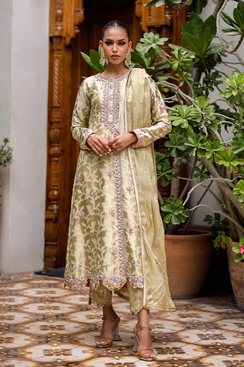 Sana Abbas | Wedding Formals | Mesaam - Official Sana Abbas - Agha Fabrics UK