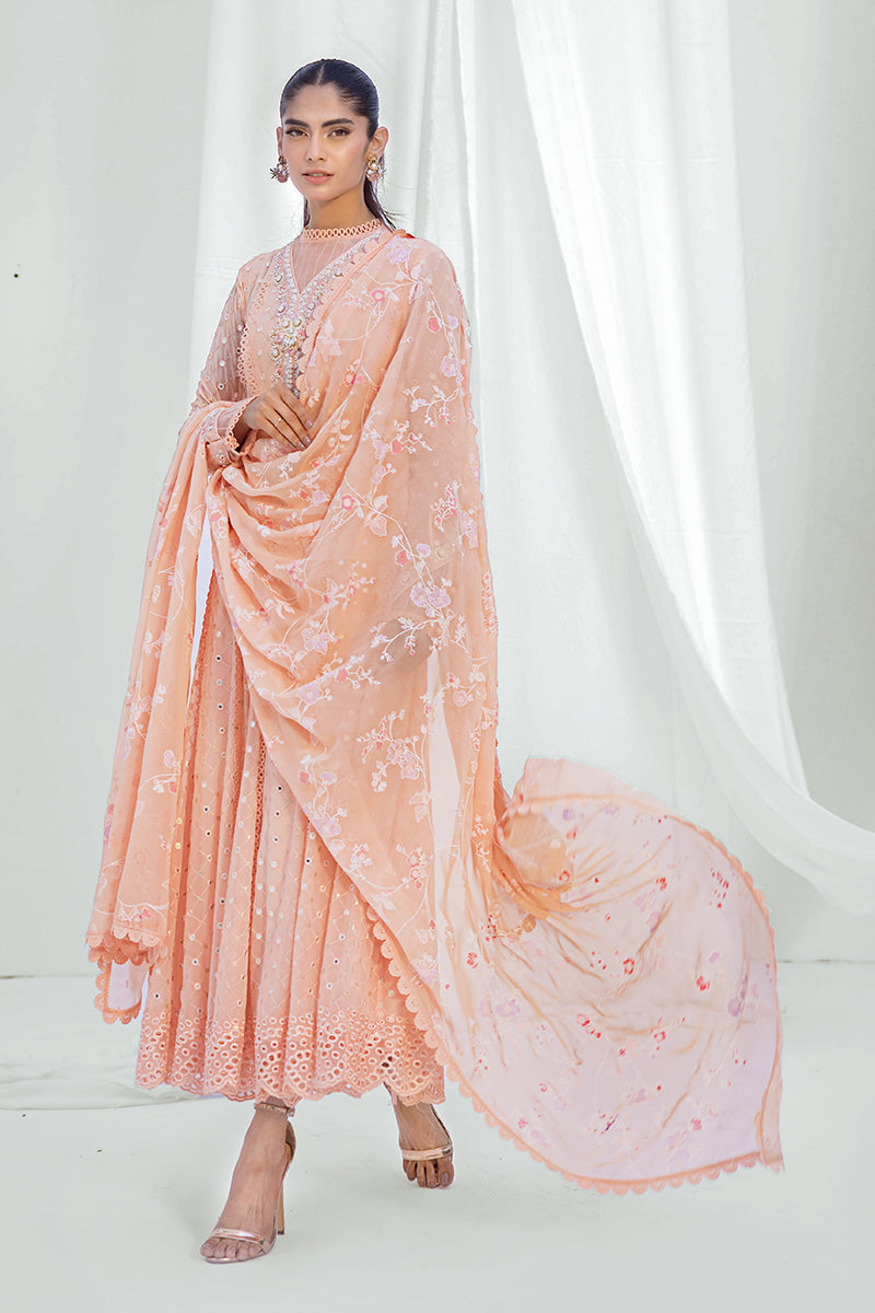 Sana Abbas | Luxury Pret | Zehra - Official Sana Abbas - Agha Fabrics UK