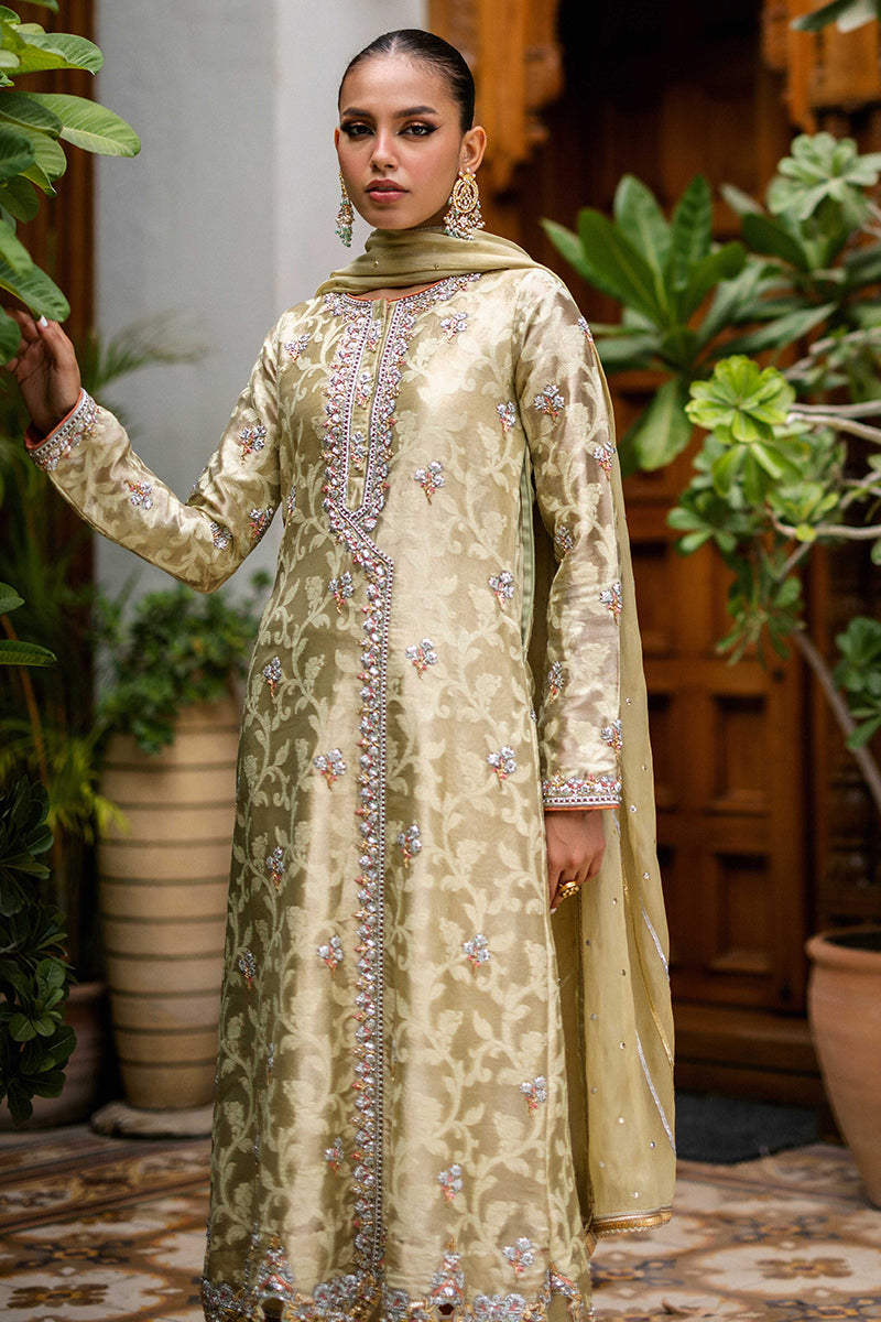 Sana Abbas | Wedding Formals | Mesaam - Official Sana Abbas - Agha Fabrics UK