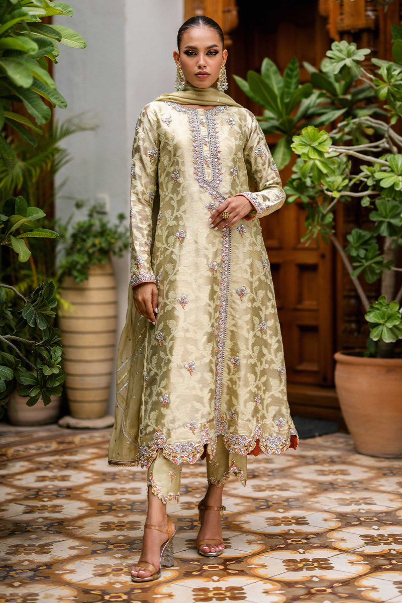 Sana Abbas | Wedding Formals | Mesaam - Official Sana Abbas - Agha Fabrics UK
