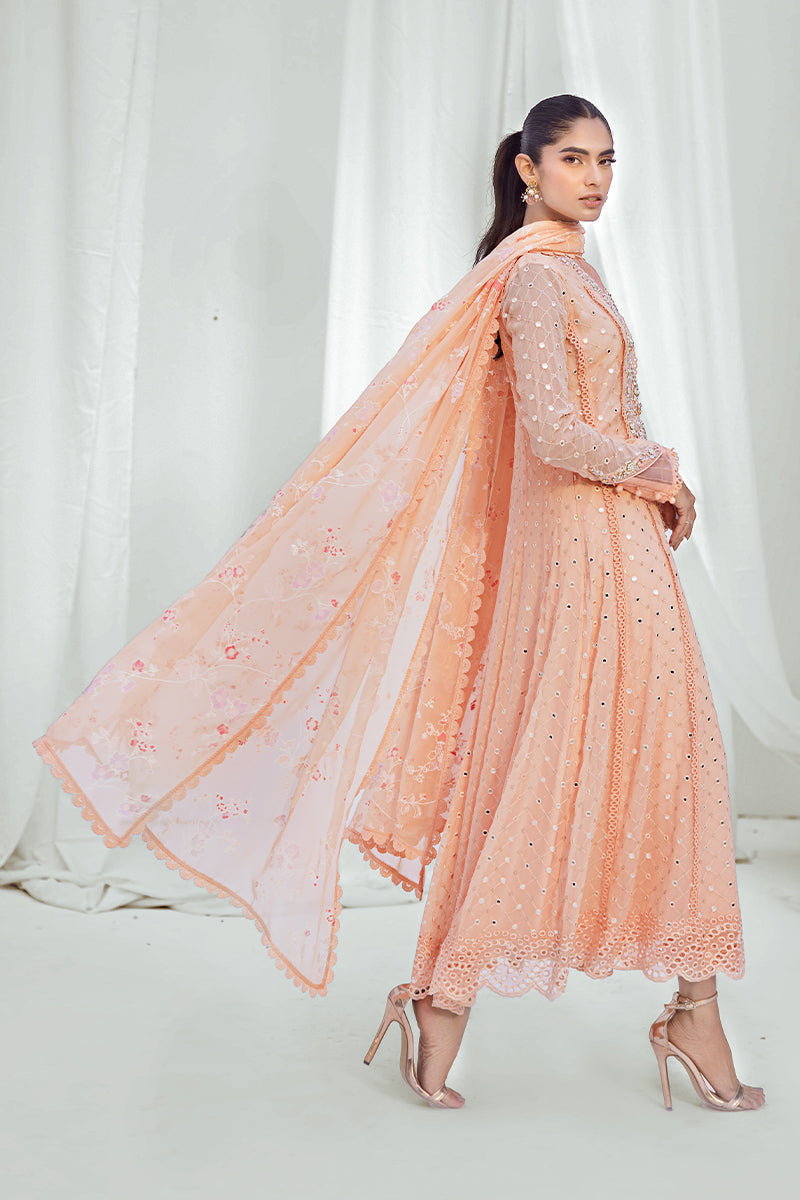 Sana Abbas | Luxury Pret | Zehra - Official Sana Abbas - Agha Fabrics UK