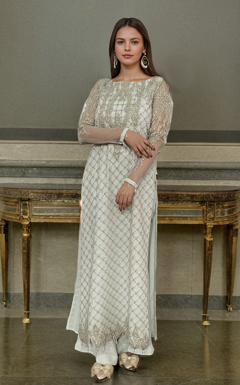 Threads and Motifs | Formal Dresses 25 | Net Embroidered Shirt With Trouser