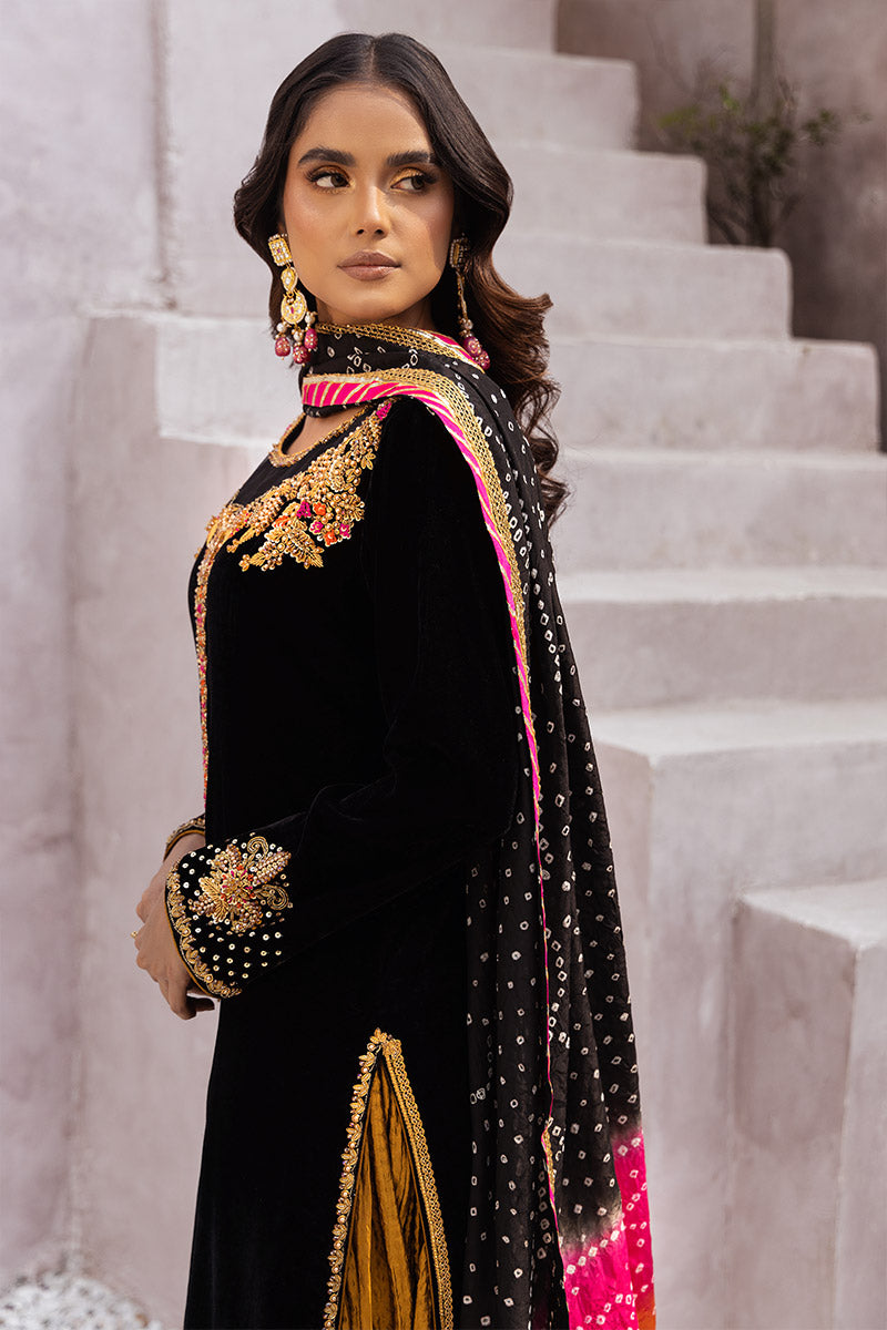 Chic Ophicial | Velveteen Luxury Fall Collection | Leyla