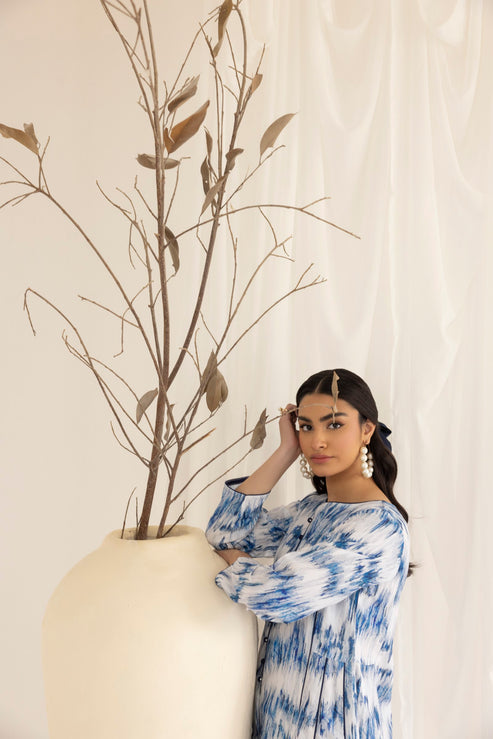 Mohagni | Tulips 24 | PLS-116