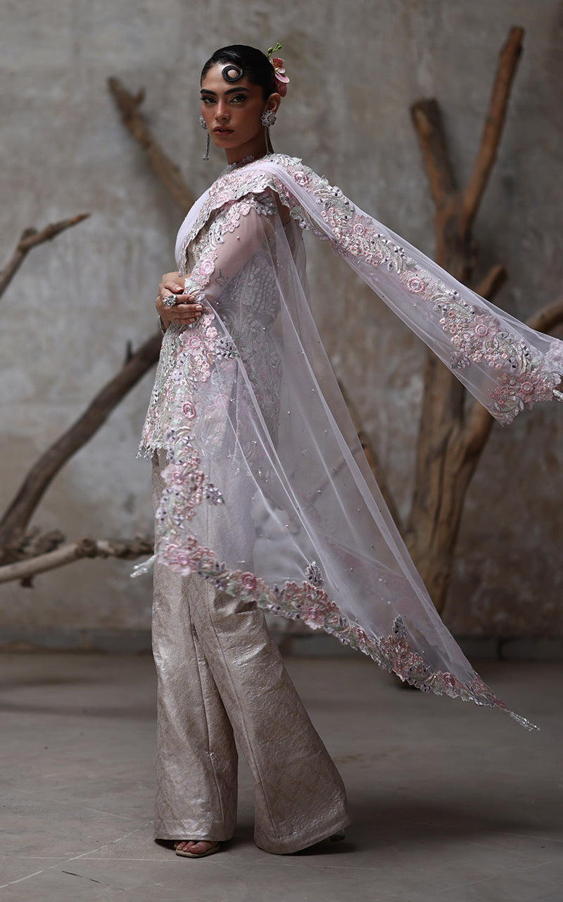 Threads and Motifs | Formal Dresses 25 | Organza Embroidered Shirt