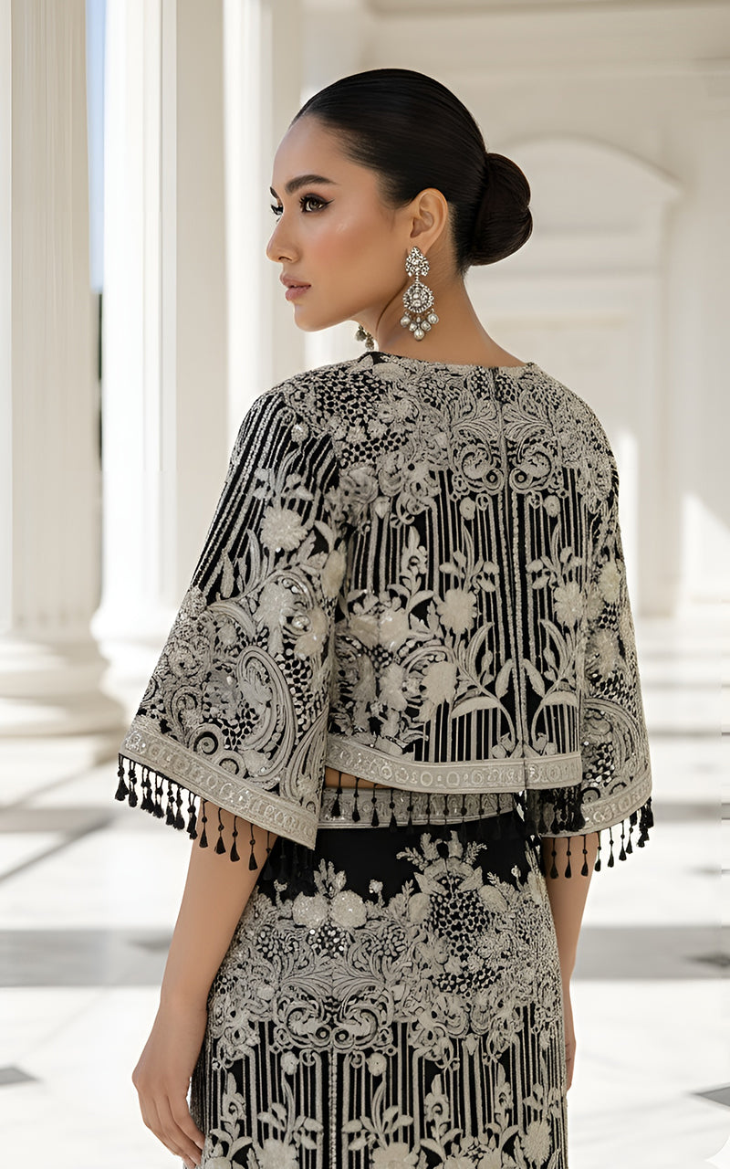 Threads and Motifs | Formal Dresses 25 | Organza Embroidered Cape With Skirt