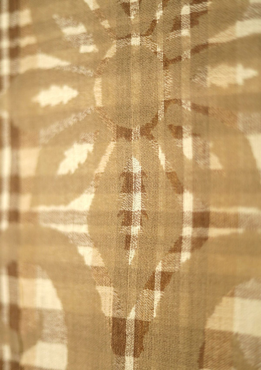 Wool Jamawar Shawl D - 06 - Brown