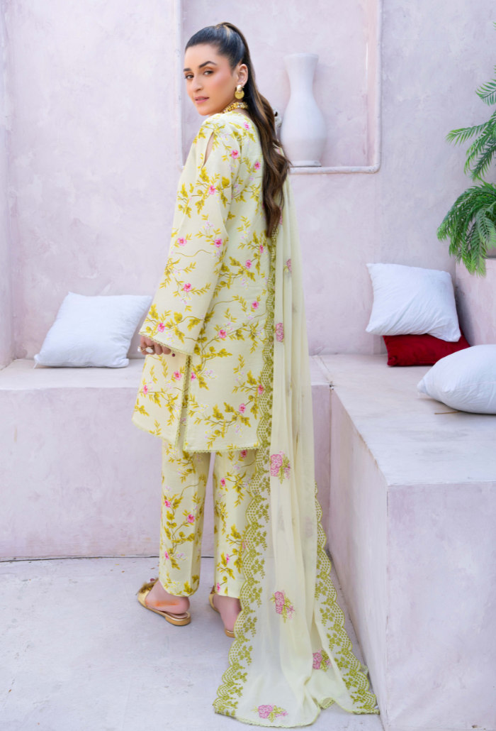 Humdum | Gardenia Lawn 24 | PLG 3 - D07