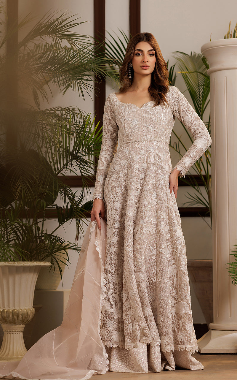 Threads and Motifs | Formal Dresses 25 | Net Embroidered Dress