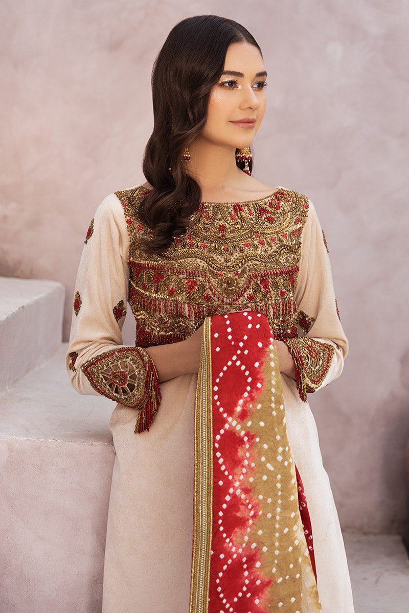 Chic Ophicial | Velveteen Luxury Fall Collection | Sona