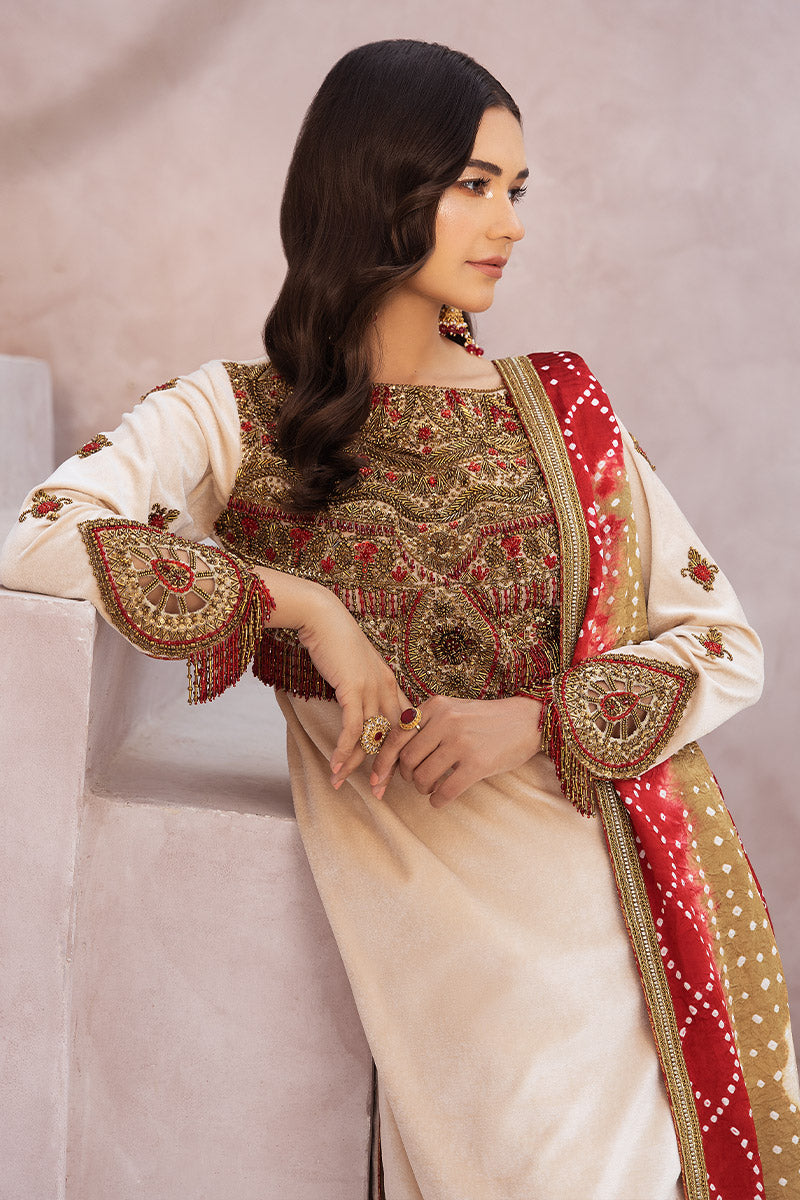 Chic Opicial | Velveteen Luxury Fall Collection | Sona