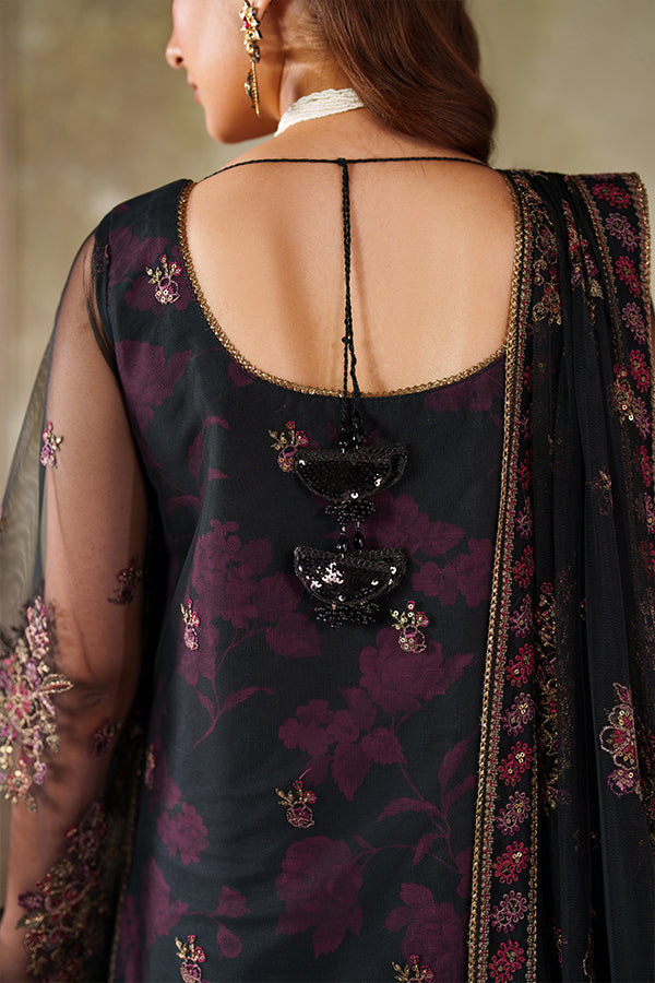 Zarif | Zaneera Formals | ZRF-ZPE-05 ASHAAL